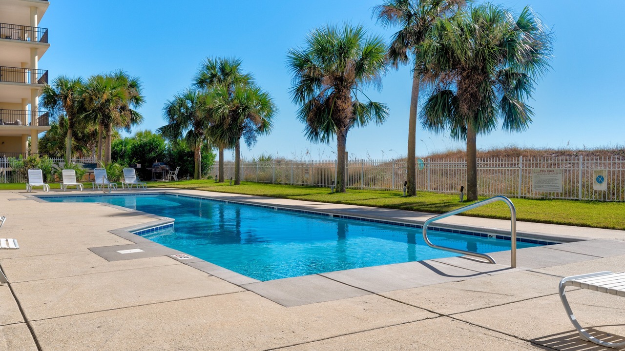 Photo of Outdoor in Dauphin Island