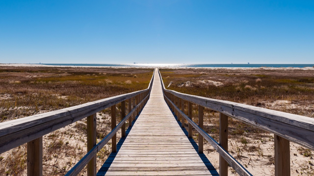 Photo of Others in Dauphin Island