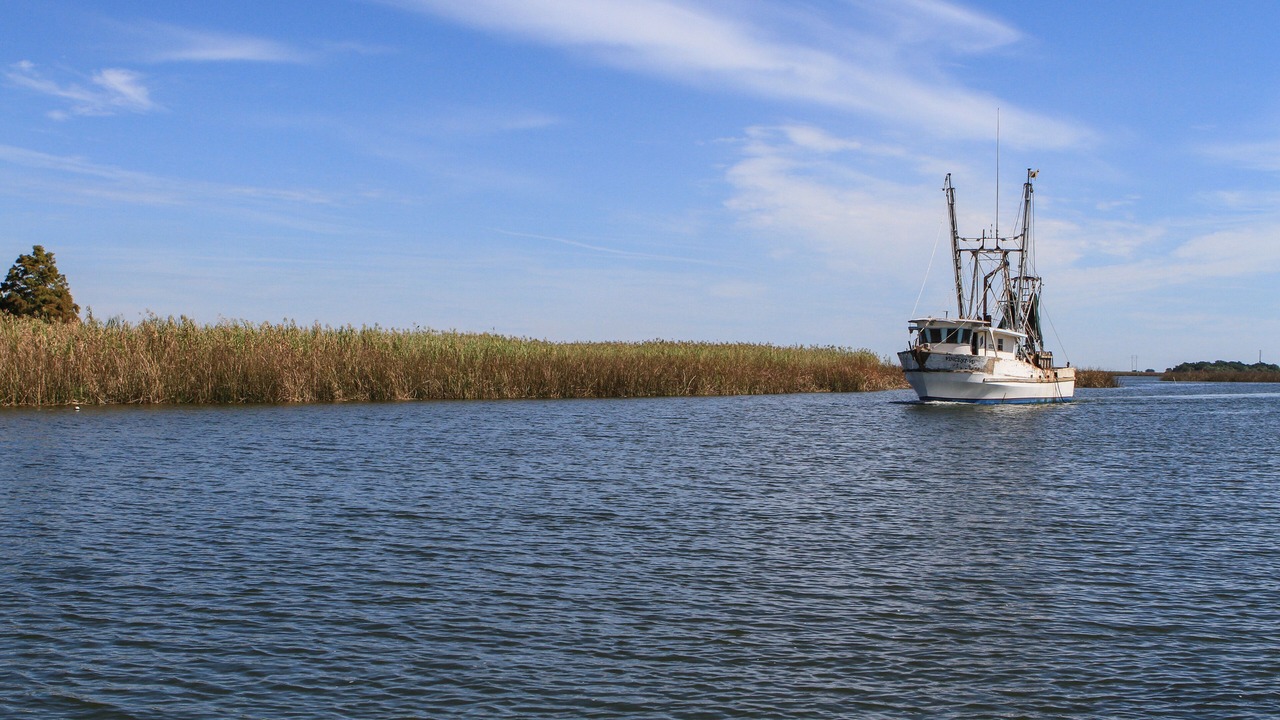 Photo of Outdoor in Historic Downtown Apalachicola