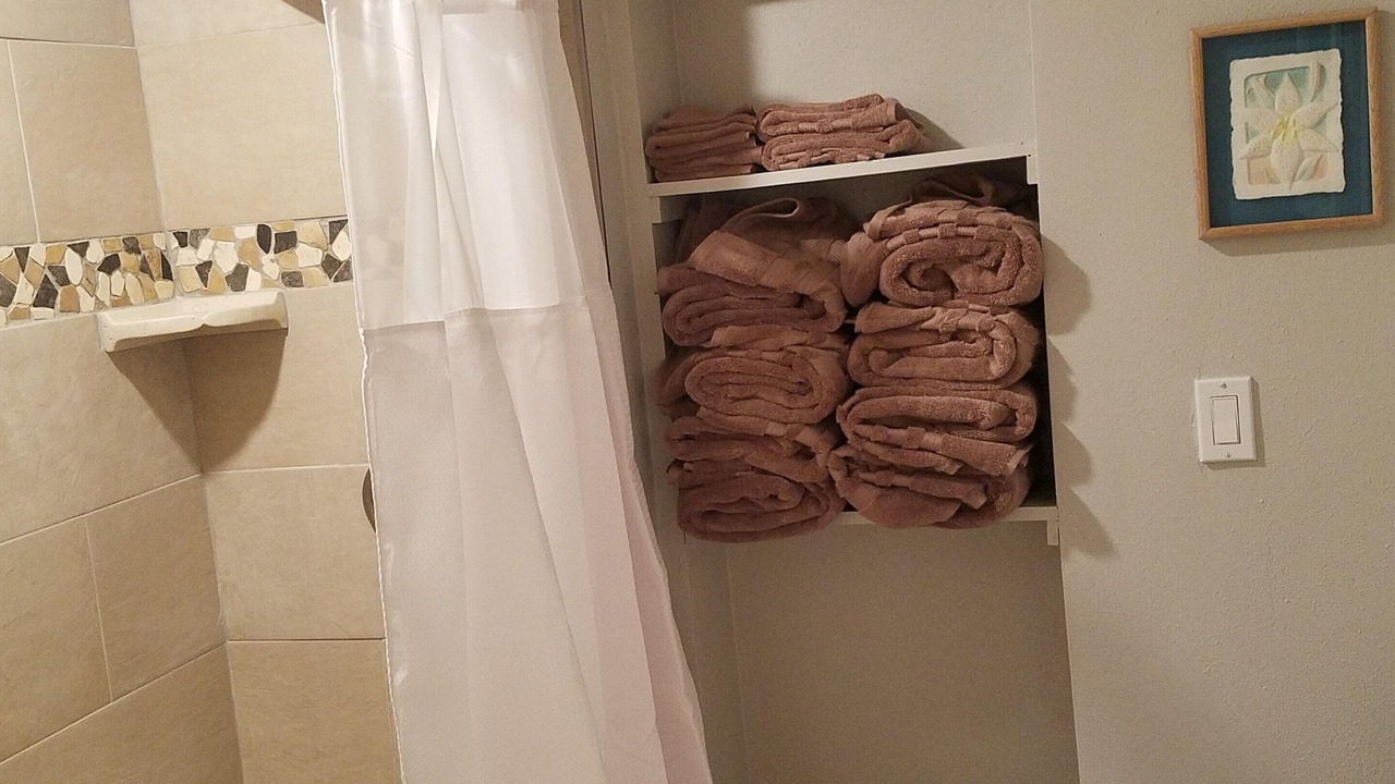 Photo of Bathroom in Redington Beach