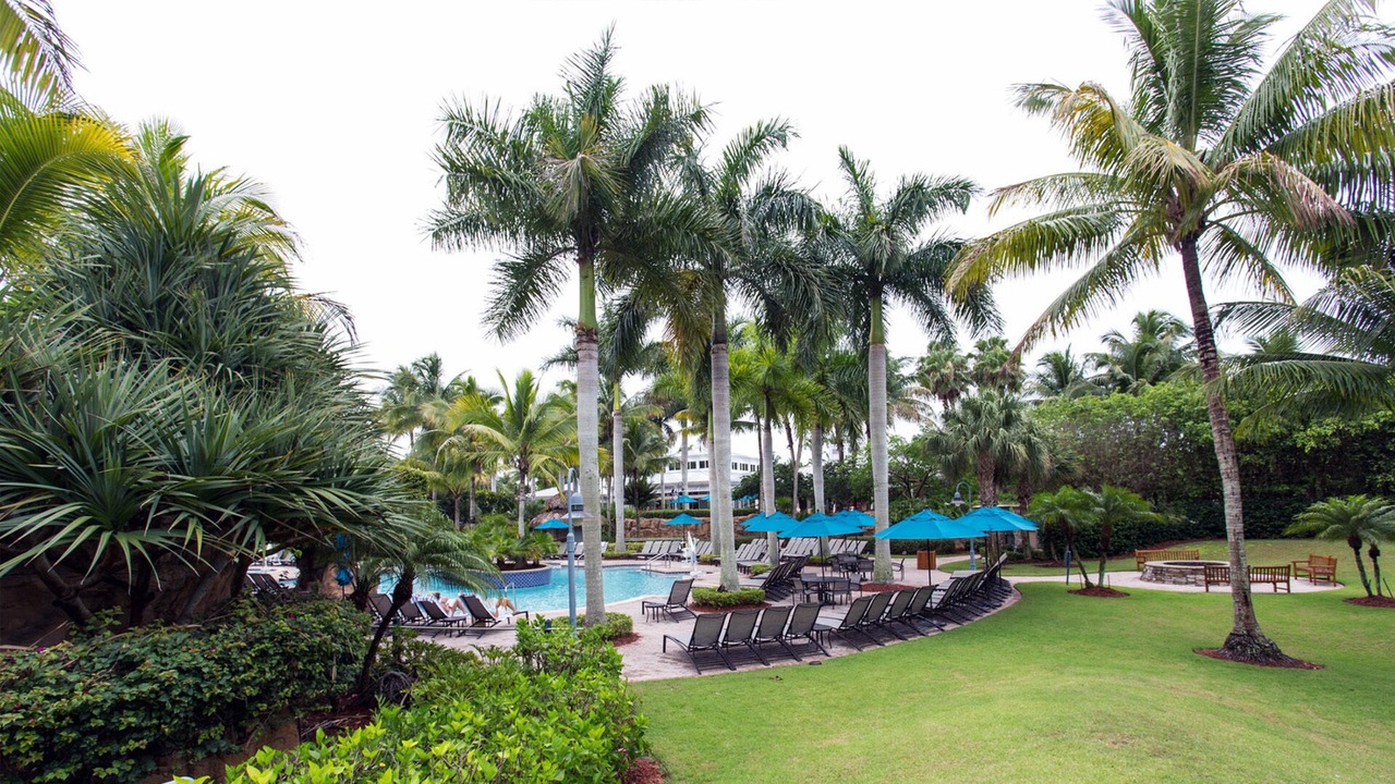 Photo of Outdoor in Estero