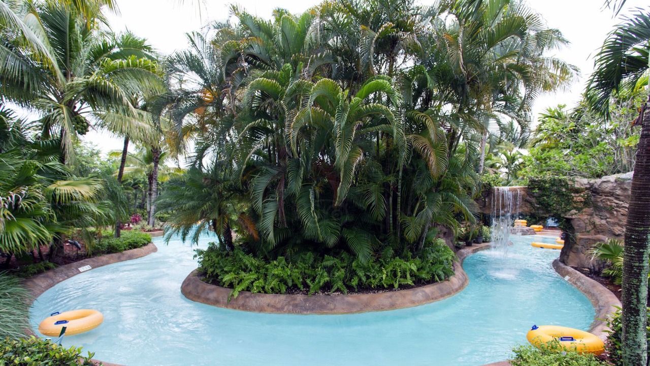 Photo of Outdoor in Estero