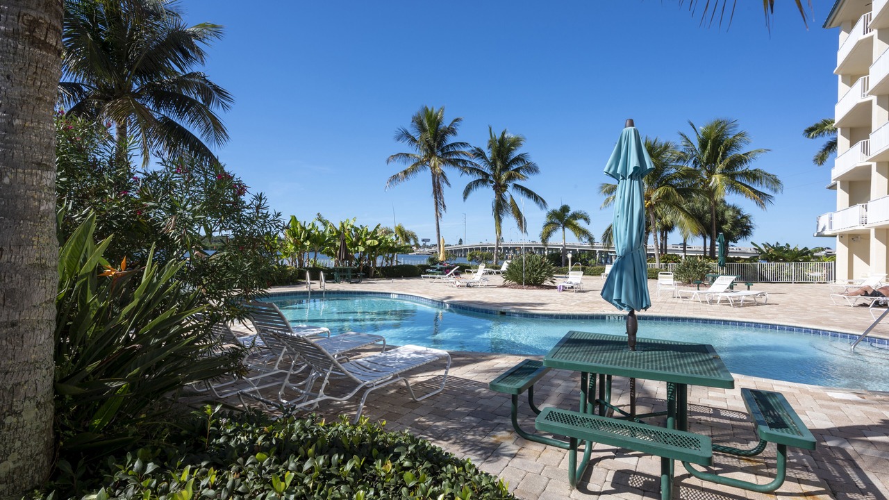 Photo of Outdoor in St. Petersburg - Clearwater