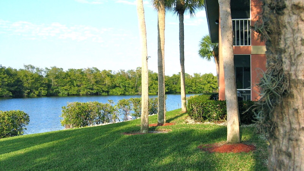 Photo of Others in Hammock Bay