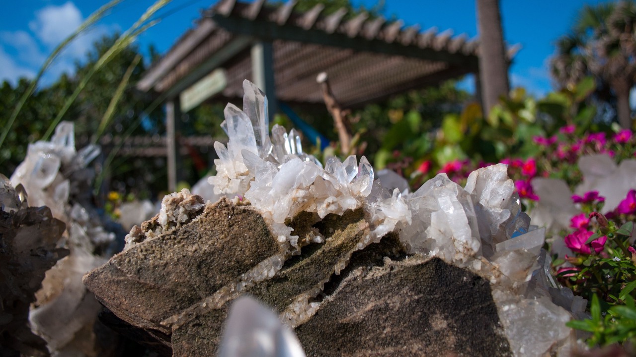 Photo of Outdoor in Cocoa Beach