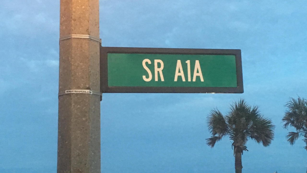 Photo of Others in Ormond-by-the-Sea
