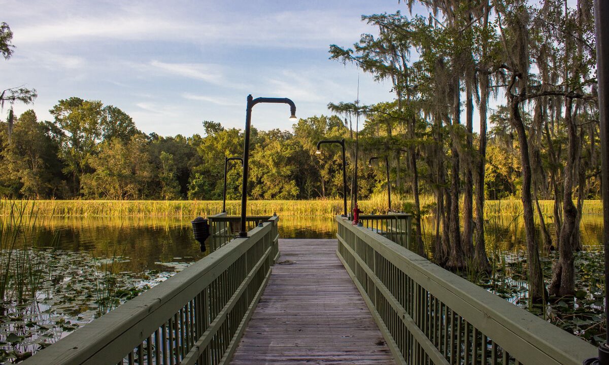 Photo of Others in Ocklawaha
