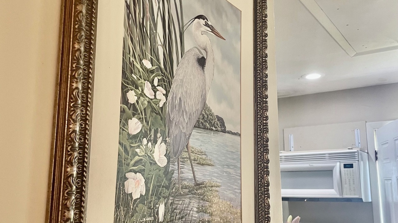 Photo of Others in St. Augustine