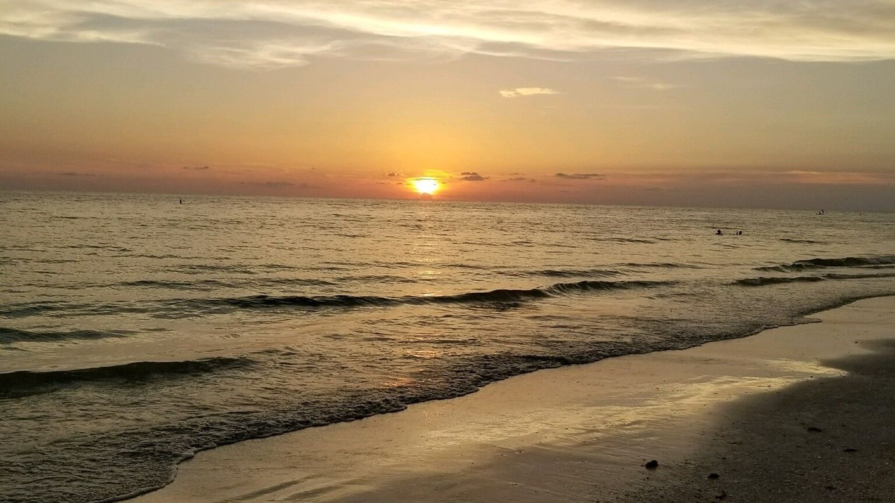 Photo of Others in Redington Shores