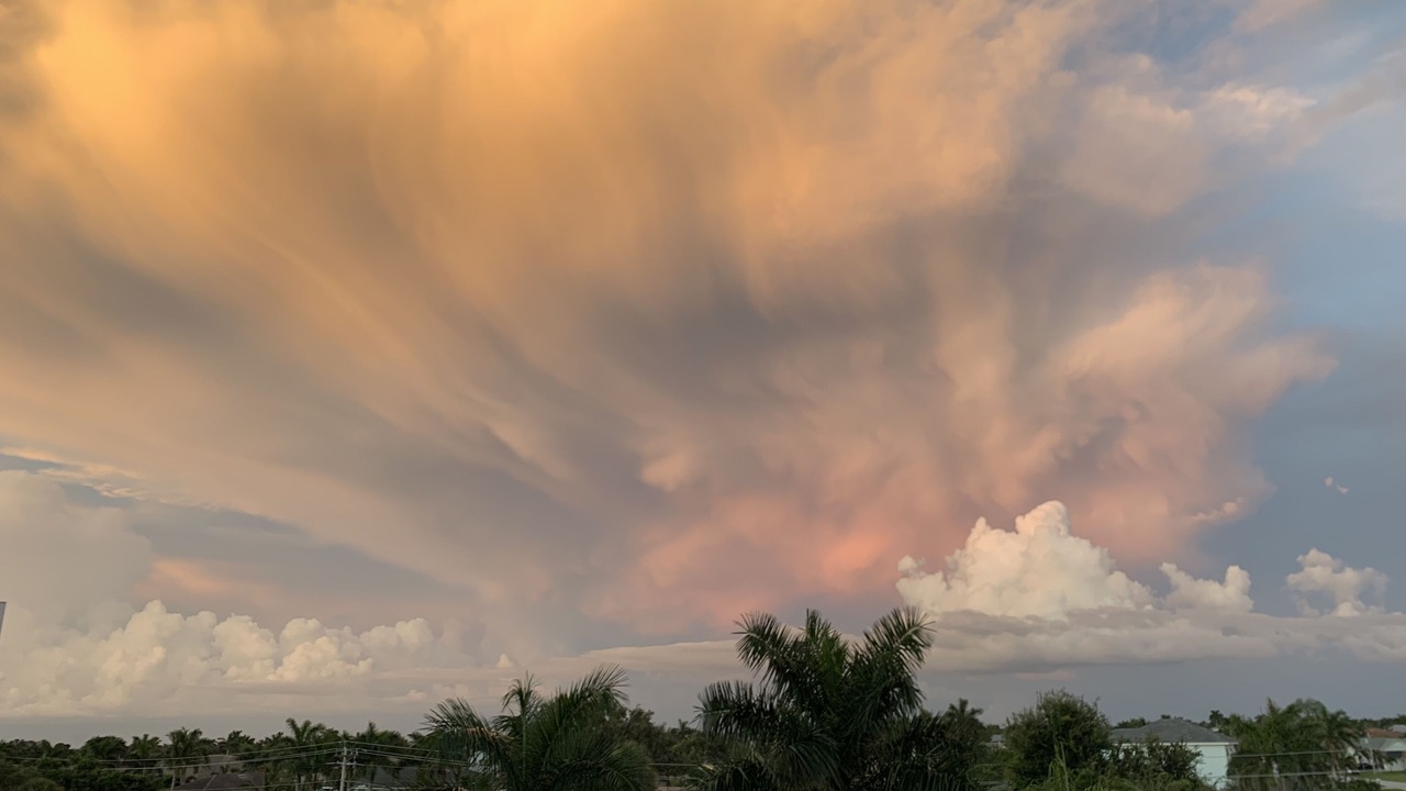 Photo of Others in Marco Island