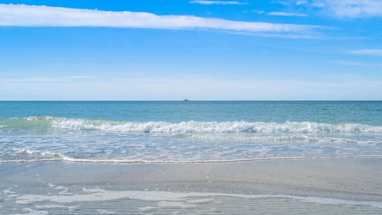 Photo of Others in North Redington Beach