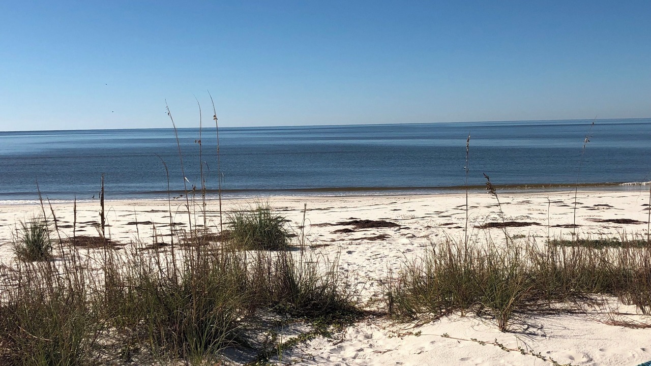 Photo of Others in Alligator Point