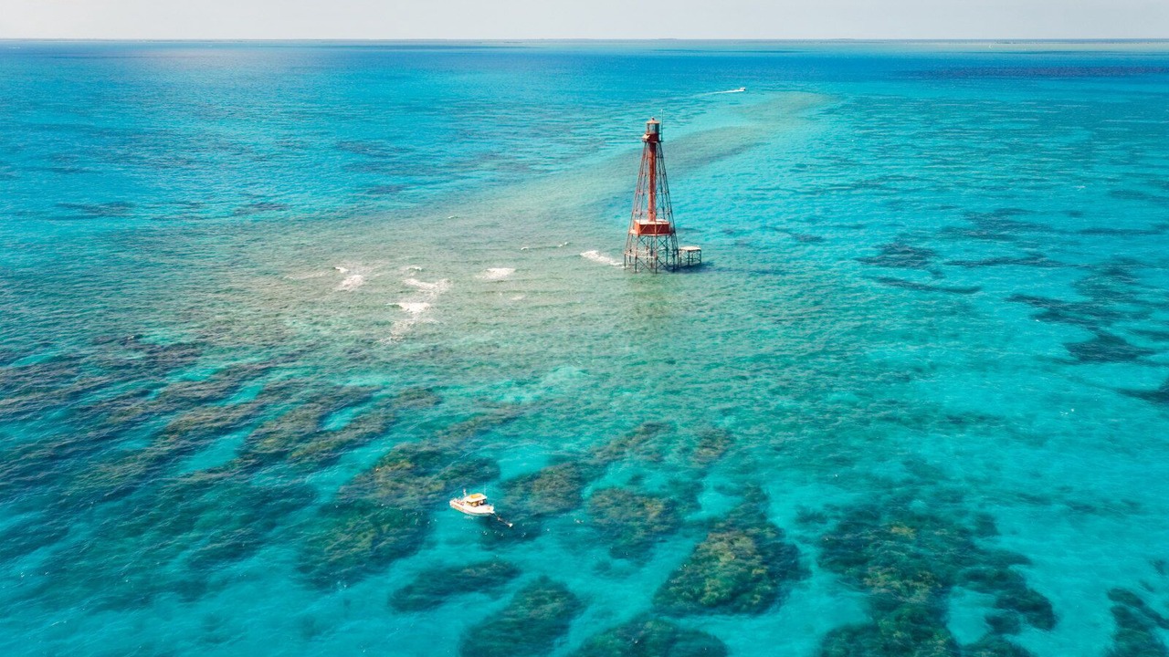Photo of Others in Coral Lagoon