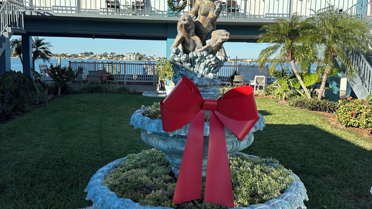Photo of Outdoor in Treasure Island