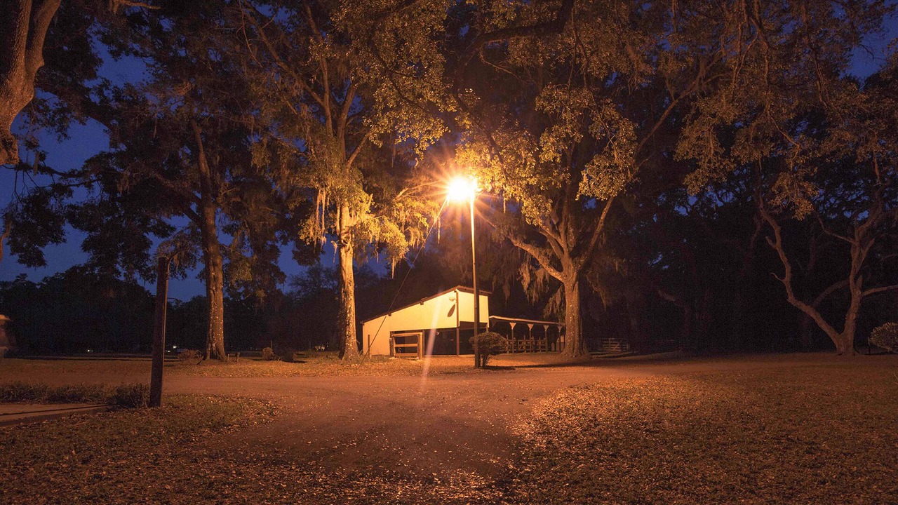Photo of Outdoor in Brooksville