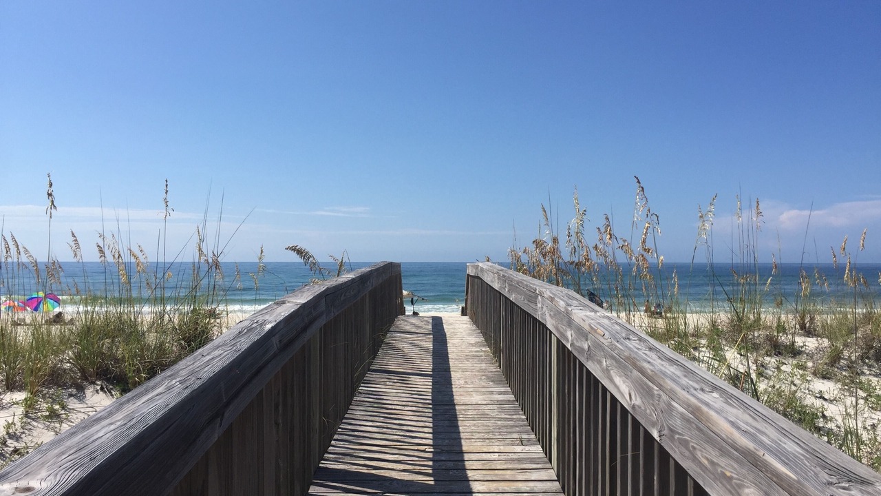Photo of Others in Gulf Shores
