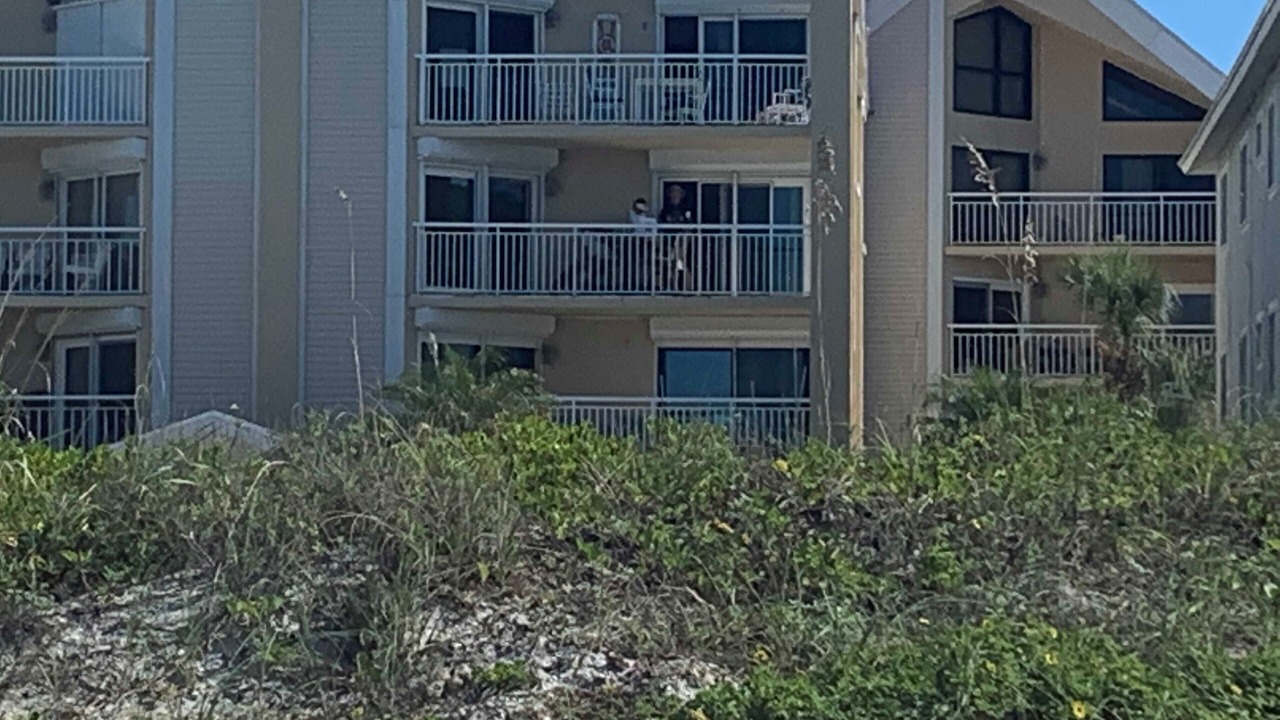 Photo of Others in Indian Rocks Beach