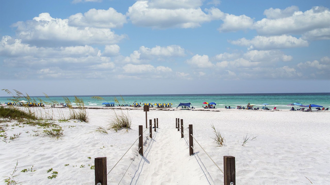 Photo of Others in Gulf Trace