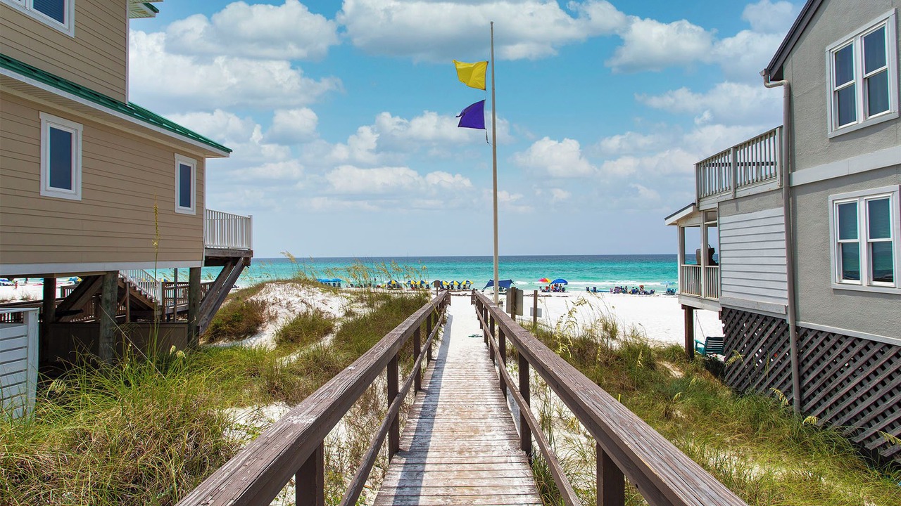 Photo of Others in Gulf Trace