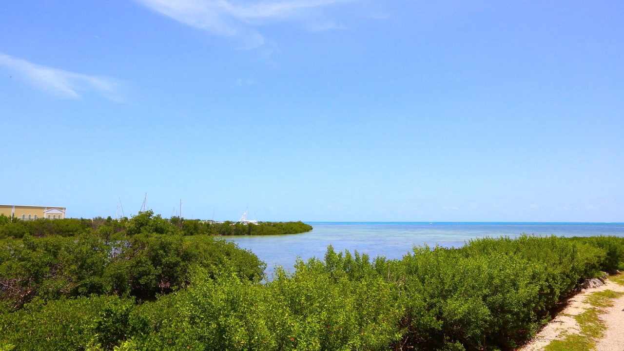 Photo of Others in Key West