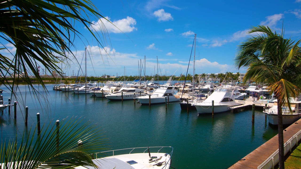 Photo of Others in Key West