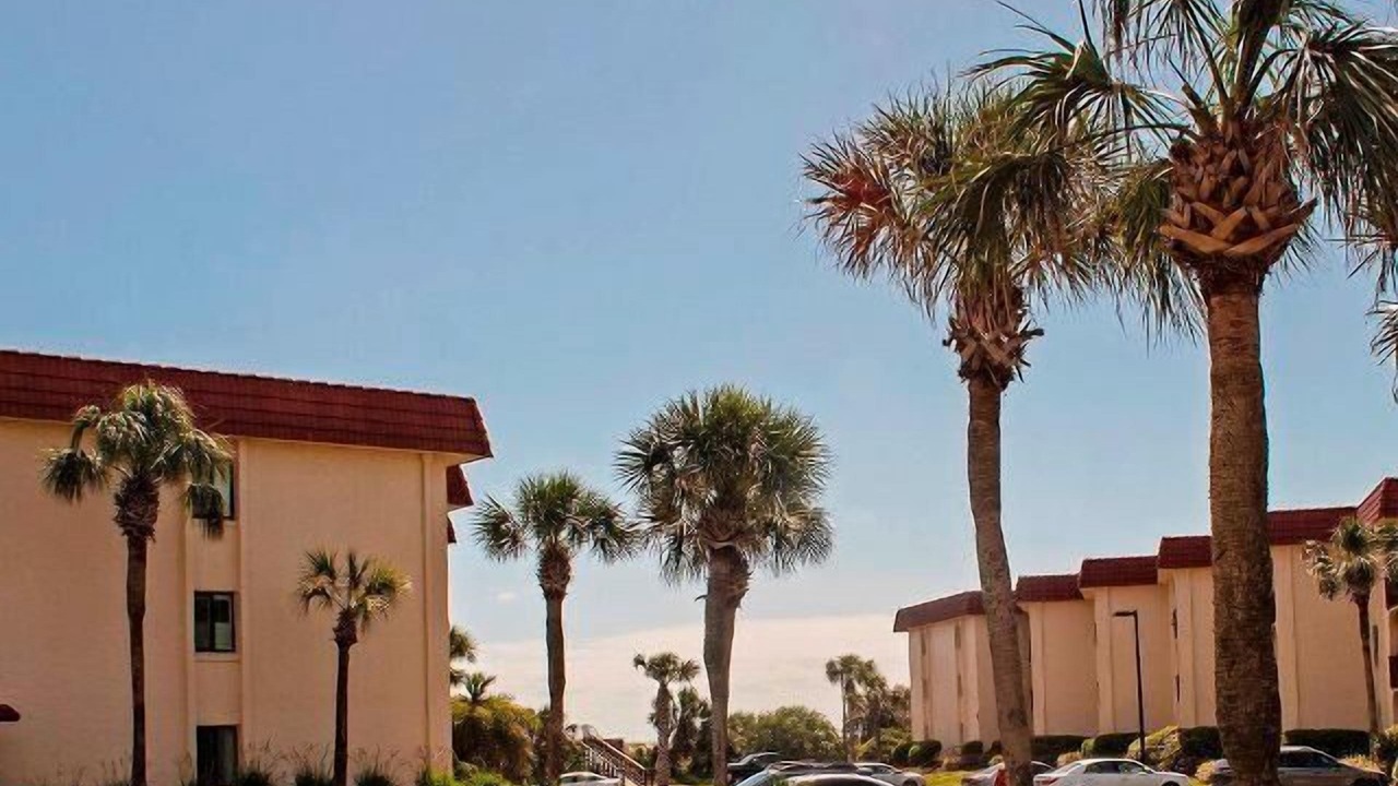 Photo of Others in St. Augustine Beach