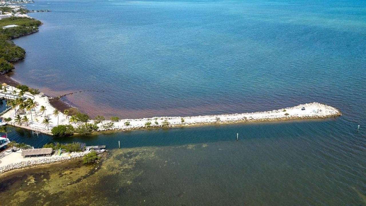 Photo of Others in Key Largo