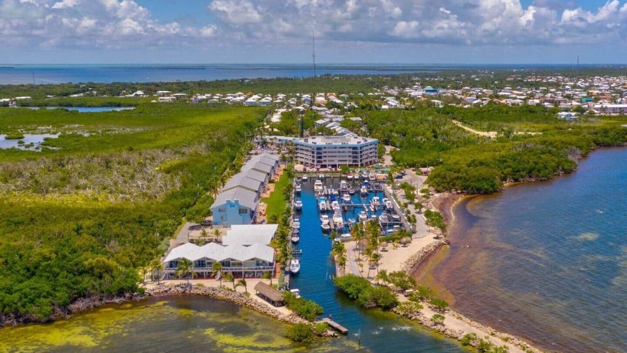 Photo of Others in Key Largo