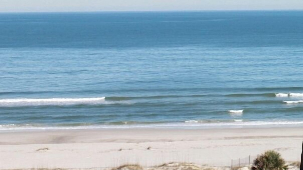 Photo of Outdoor in Fernandina Beach