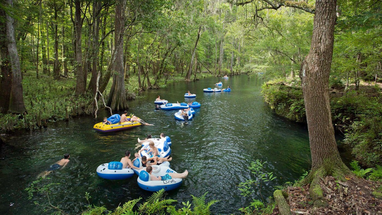 Photo of Others in Fort White