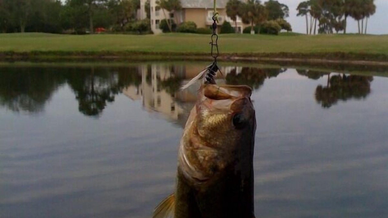 Photo of Outdoor in Miramar Beach