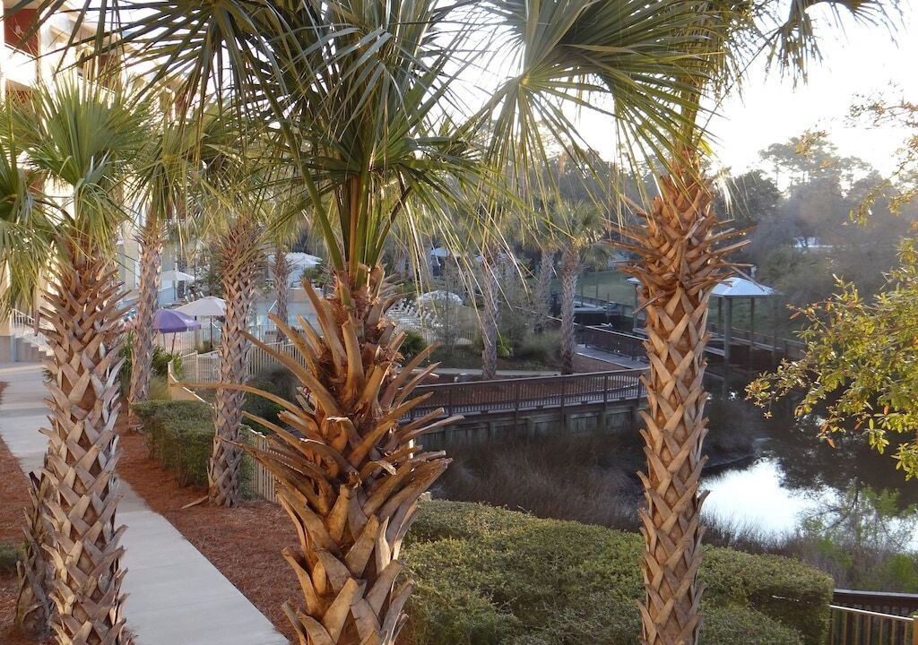 Photo of Patio Balcony in Waterside Village