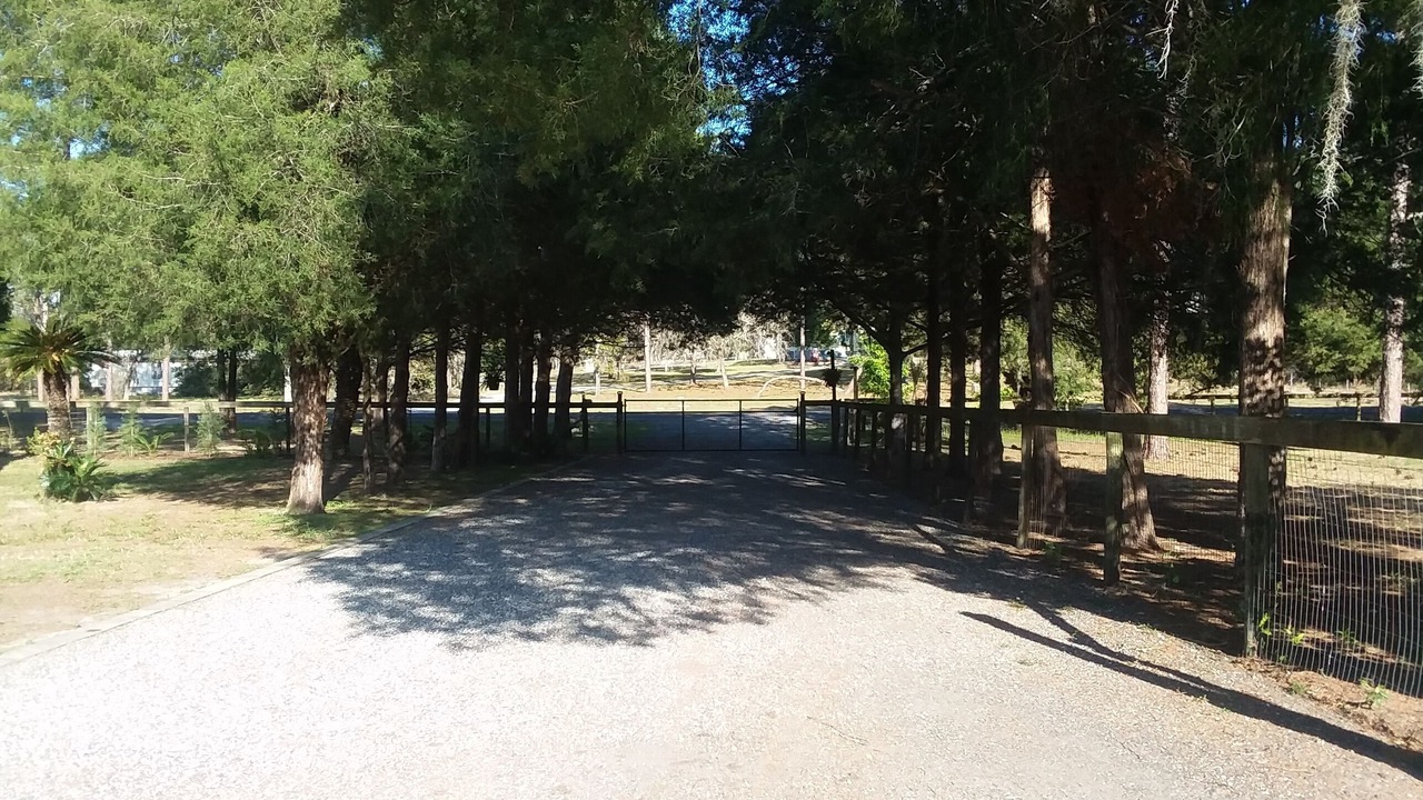 Photo of Others in Homosassa