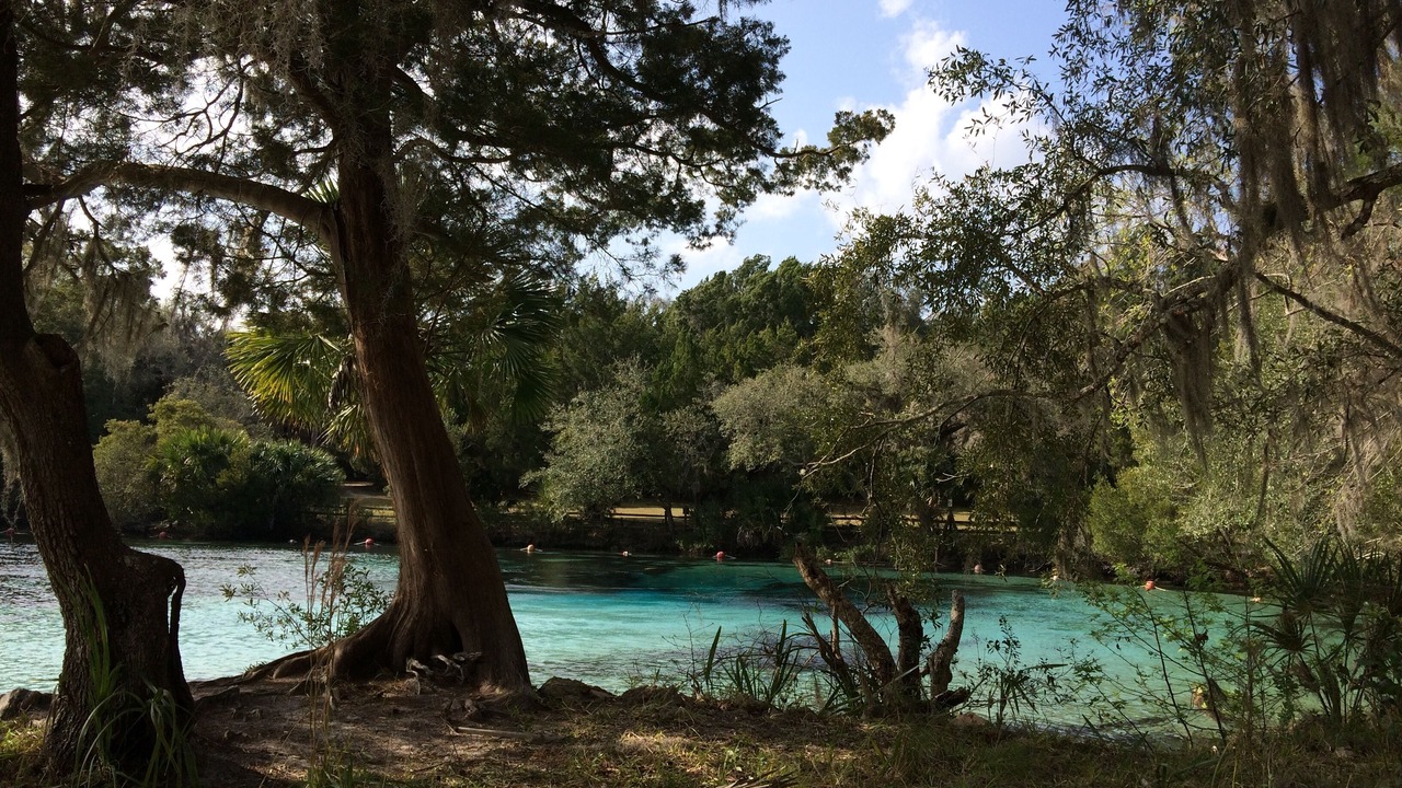 Photo of Others in Salt Springs