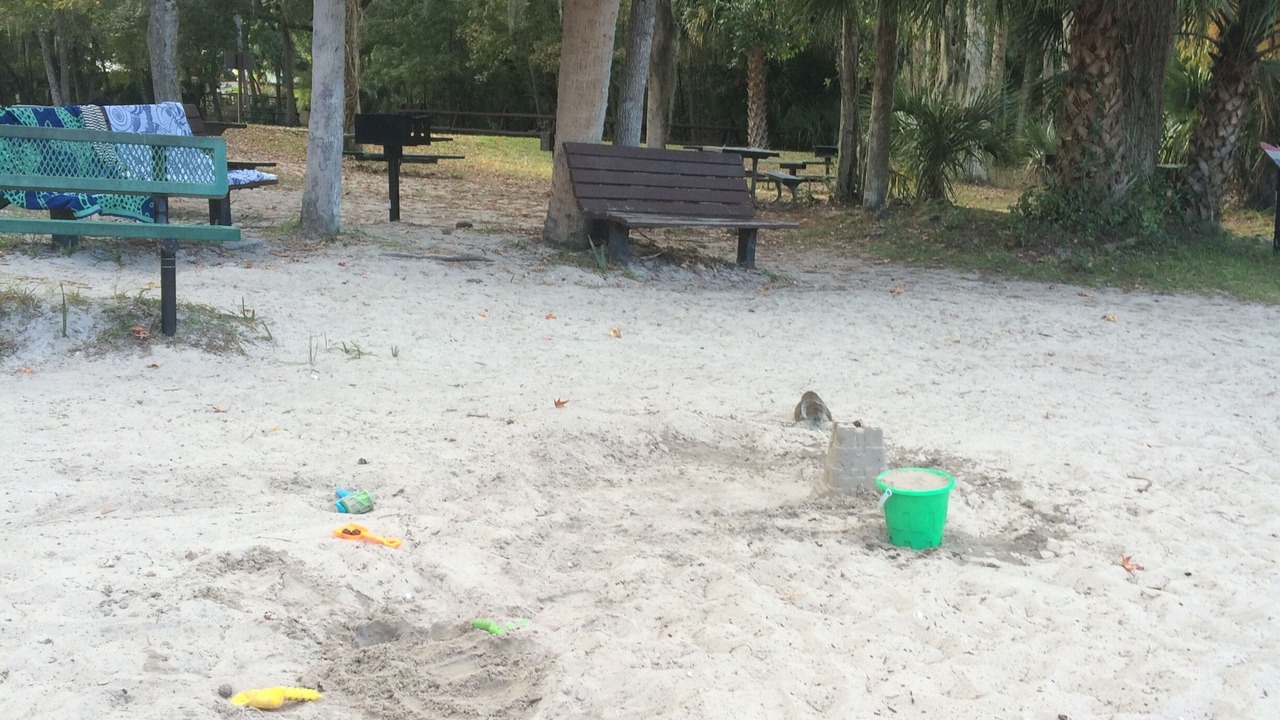 Photo of Others in Salt Springs