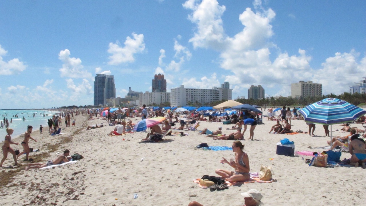 Photo of Others in South of Fifth