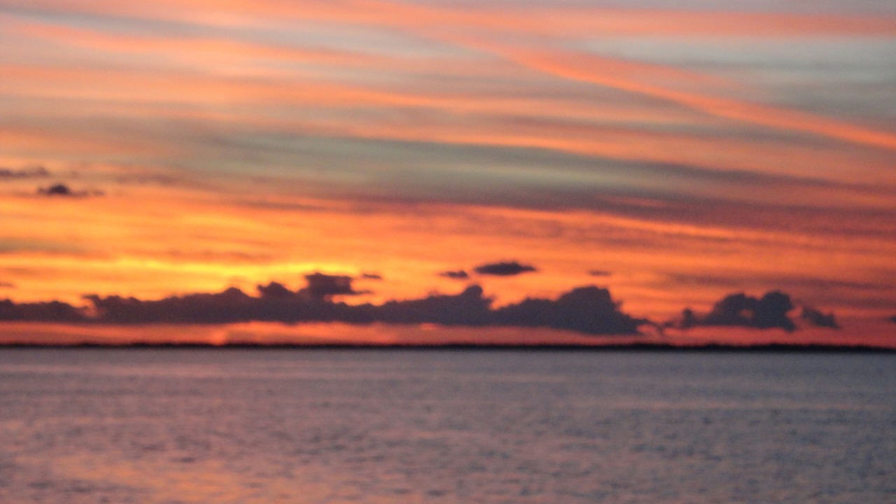 Photo of Others in Cape San Blas