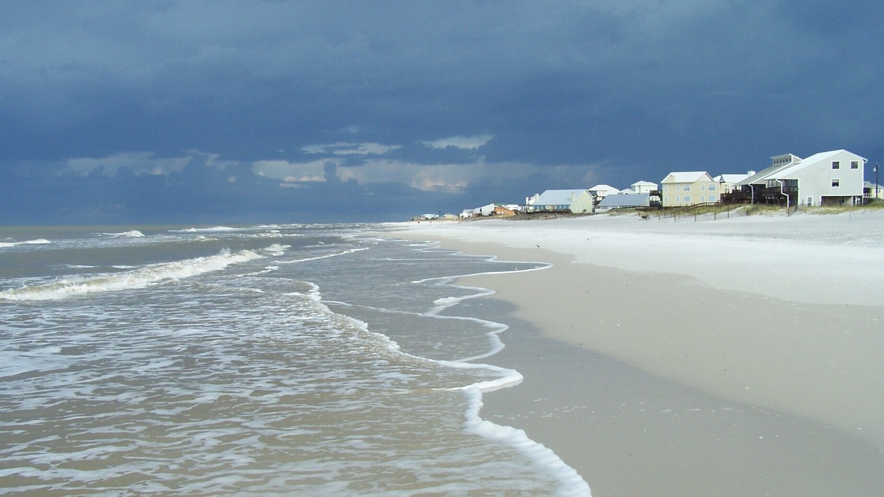 Photo of Others in Cape San Blas