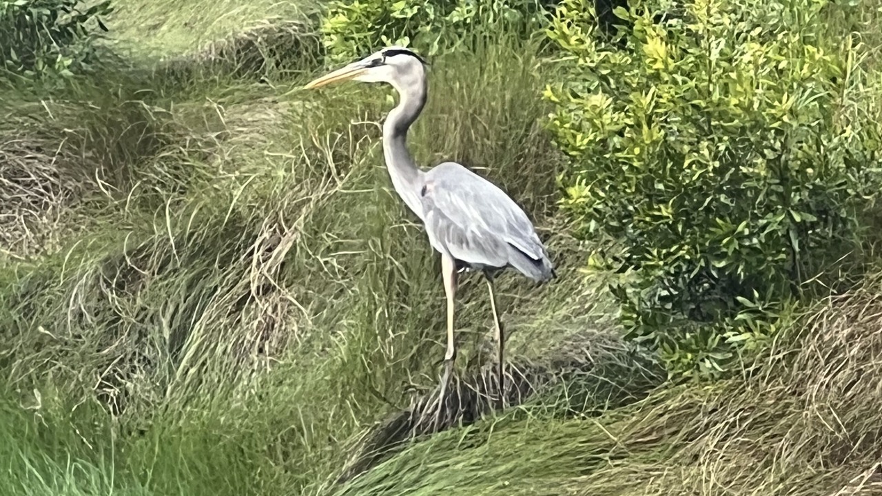 Photo of Outdoor in West Beach