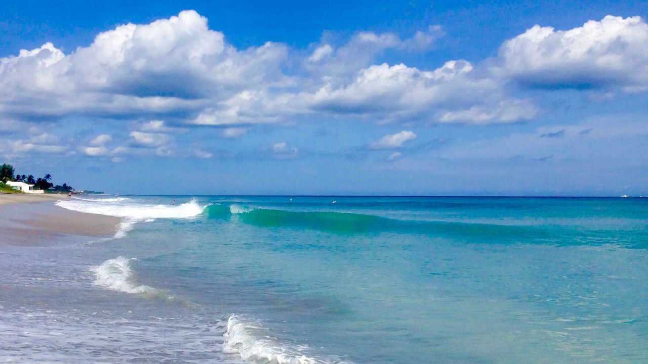 Photo of Others in Briny Breezes