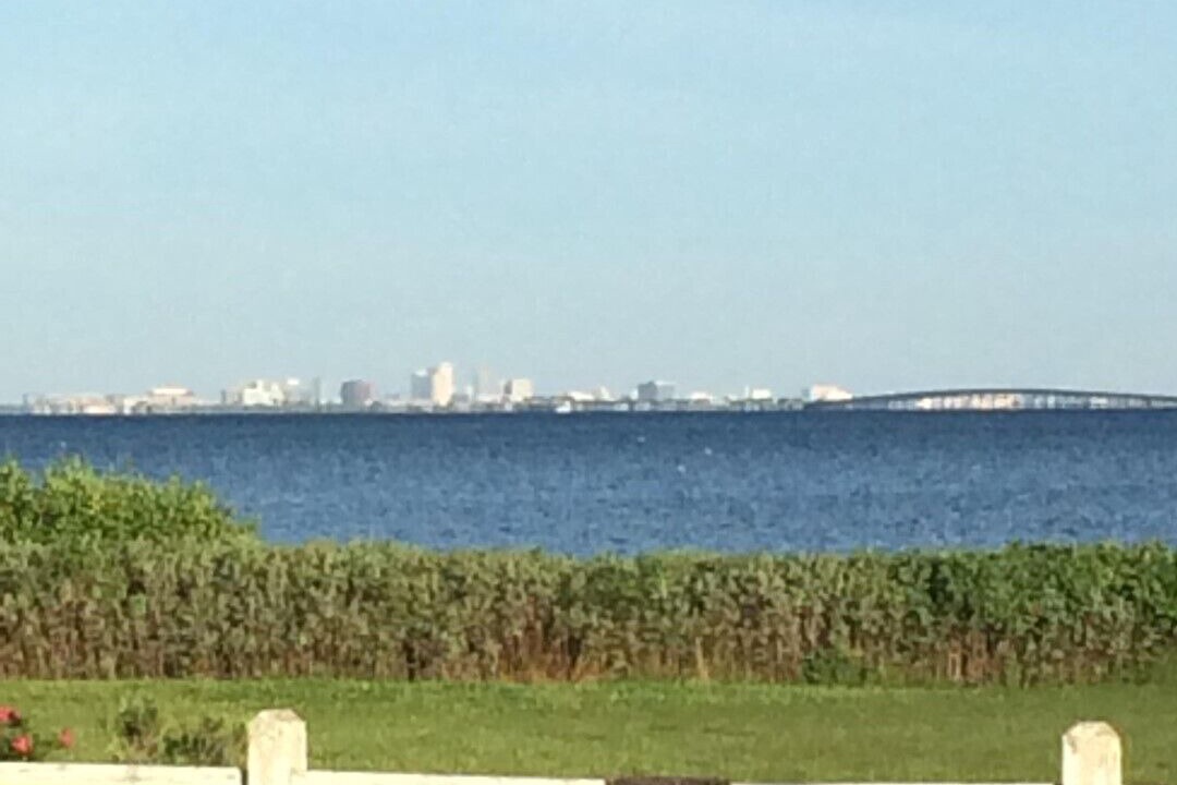 Photo of Others in Safety Harbor