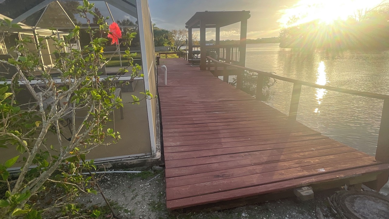 Photo of Others in Safety Harbor