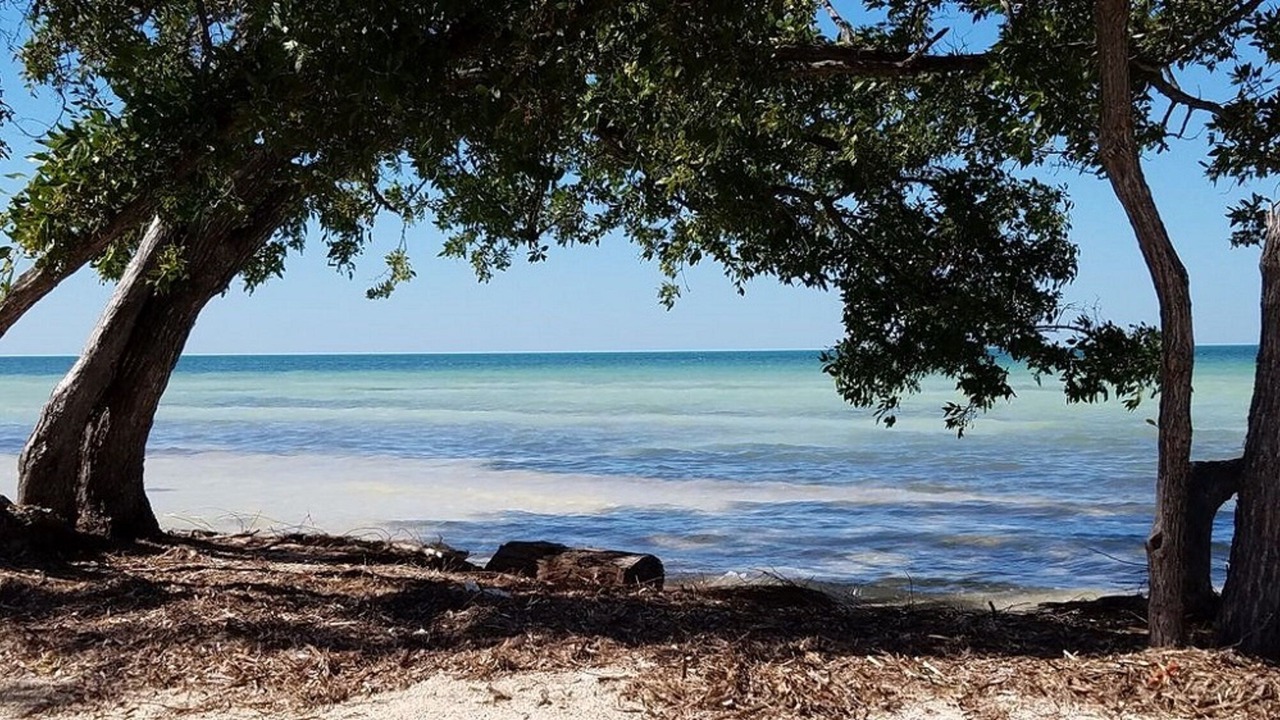 Photo of Others in Islamorada