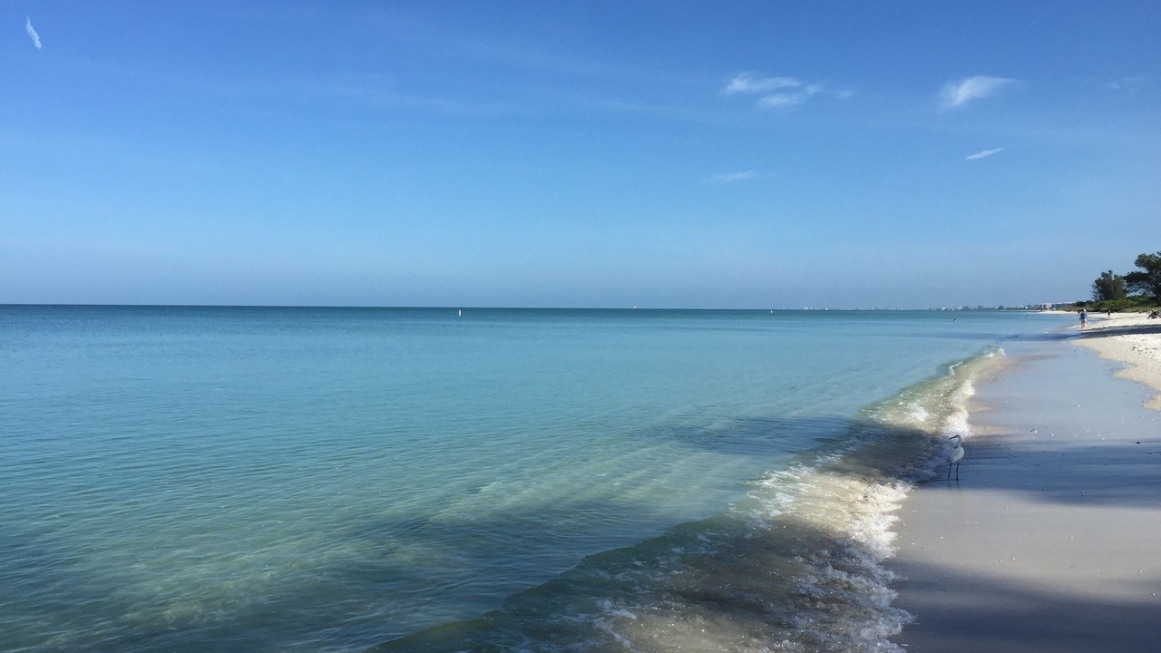 Photo of Others in Naples Park