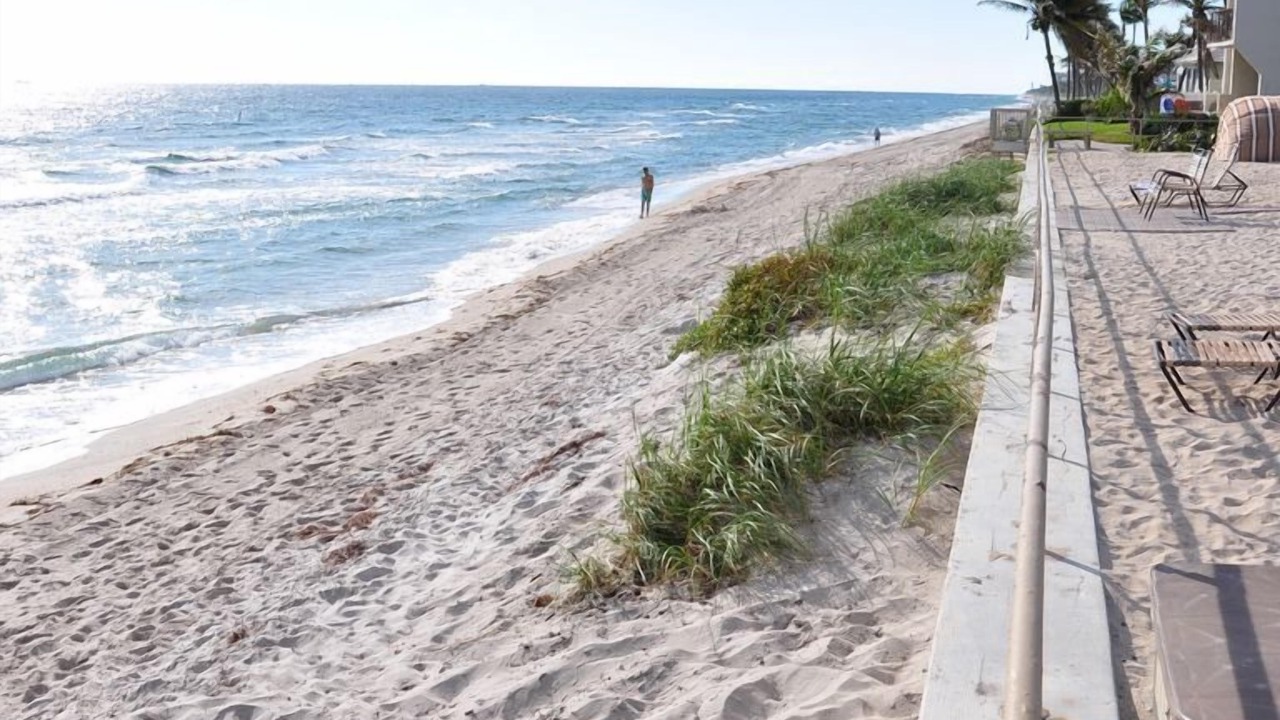 Photo of Others in Hillsboro Beach