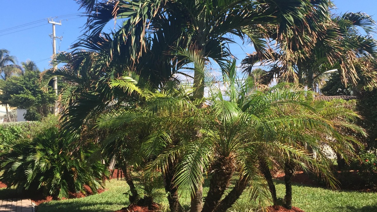 Photo of Outdoor in Hillsboro Beach