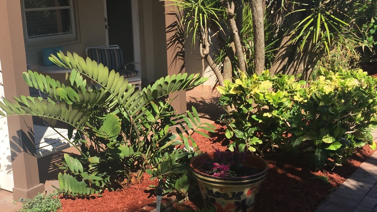Photo of Outdoor in Hillsboro Beach