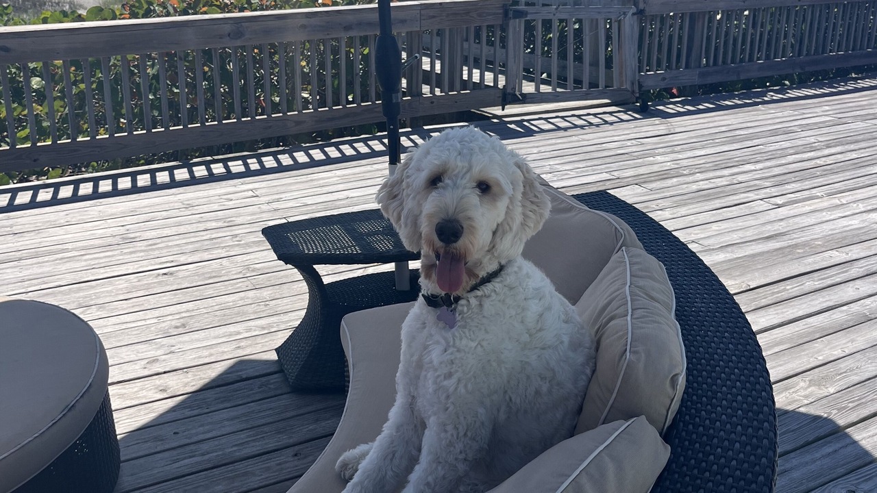 Photo of Patio Balcony in Crescent Beach