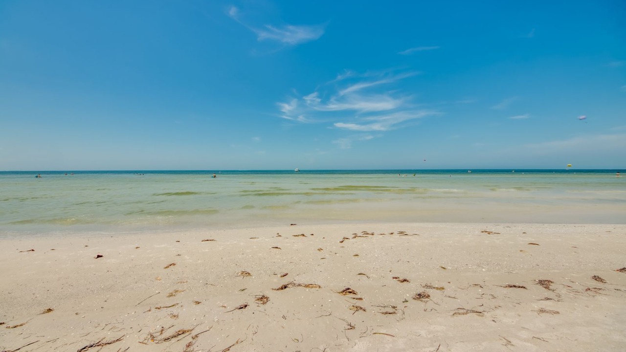 Photo of Others in Mid Island