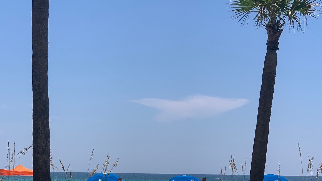 Photo of Others in Panama City Beach